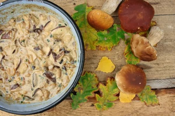 Z czym sos grzybowy? Odkryj idealne połączenia smakowe